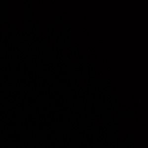 Meet your Posher, Alivia